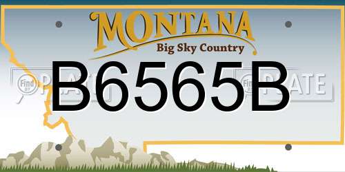 B6565B Montana License Plate