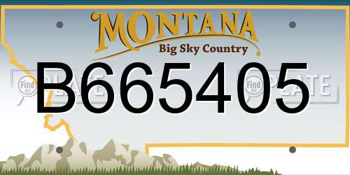 B665405 Montana License Plate