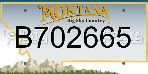 B702665 Montana License Plate