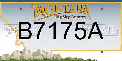 B7175A Montana License Plate