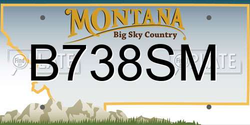 B738SM Montana License Plate