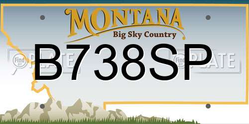 B738SP Montana License Plate