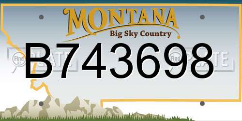 B743698 Montana License Plate