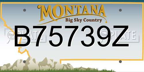 B75739Z Montana License Plate