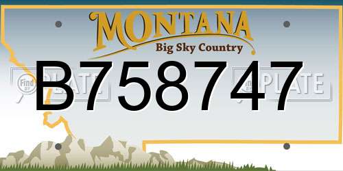 B758747 Montana License Plate