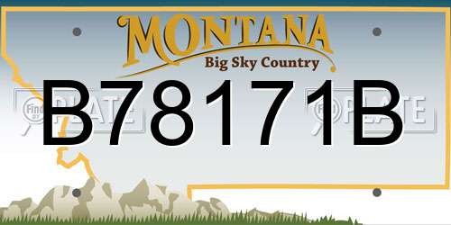 B78171B Montana License Plate
