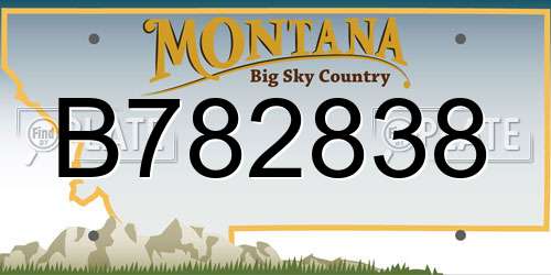 B782838 Montana License Plate