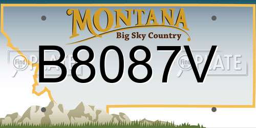 B8087V Montana License Plate