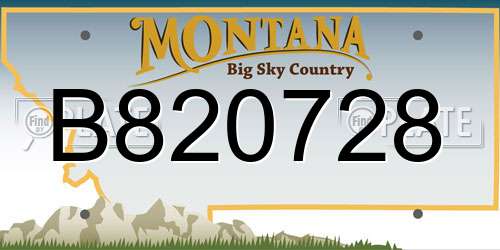 B820728 Montana License Plate