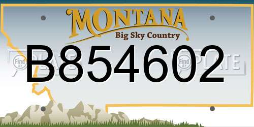 B854602 Montana License Plate