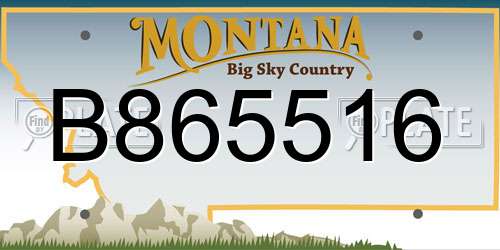 B865516 Montana License Plate