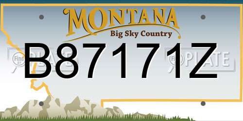 B87171Z Montana License Plate
