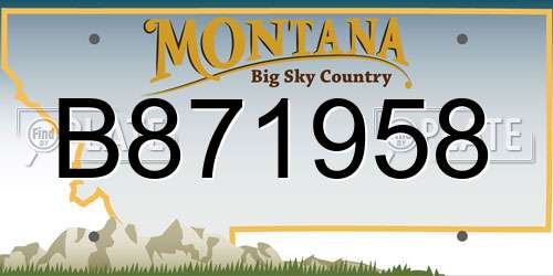 B871958 Montana License Plate