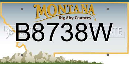 B8738W Montana License Plate