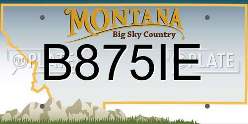 B875IE Montana License Plate