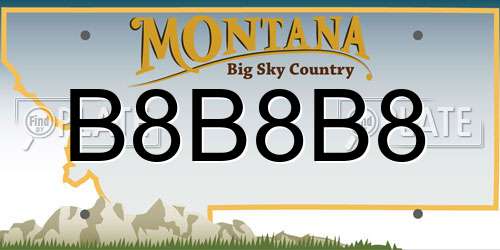B8B8B8 Montana License Plate