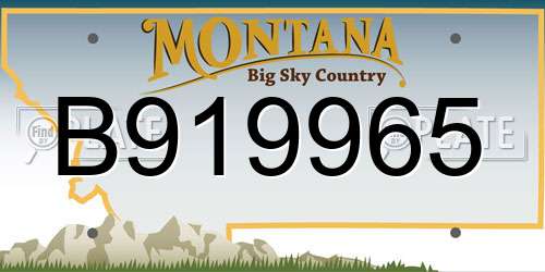 B919965 Montana License Plate