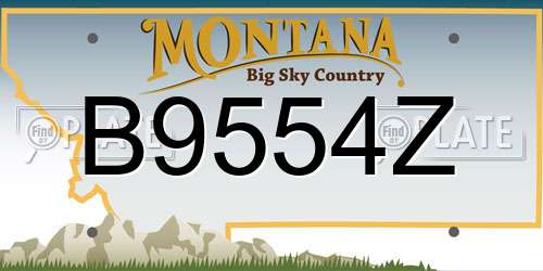 B9554Z Montana License Plate