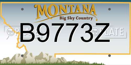 B9773Z Montana License Plate