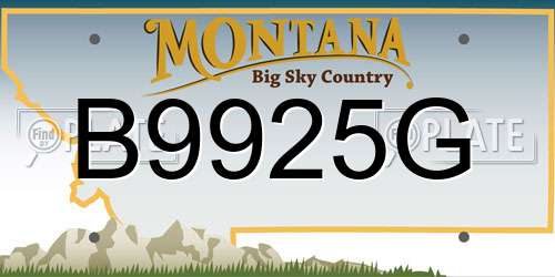 B9925G Montana License Plate