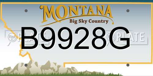 B9928G Montana License Plate