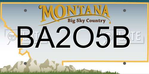 BA2O5B Montana License Plate