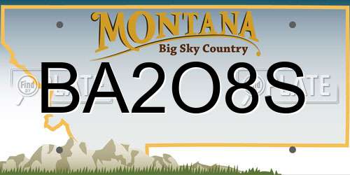 BA2O8S Montana License Plate