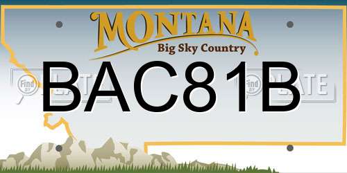BAC81B Montana License Plate