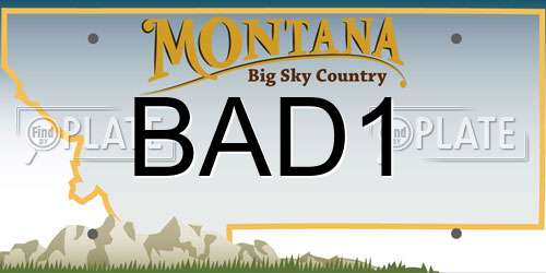 BAD1 Montana License Plate