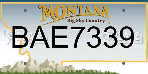BAE7339 Montana License Plate
