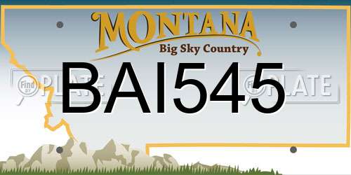 BAI545 Montana License Plate