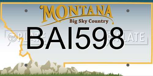 BAI598 Montana License Plate