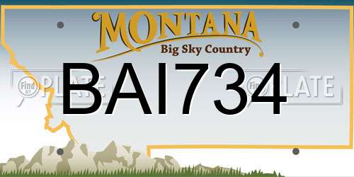 BAI734 Montana License Plate