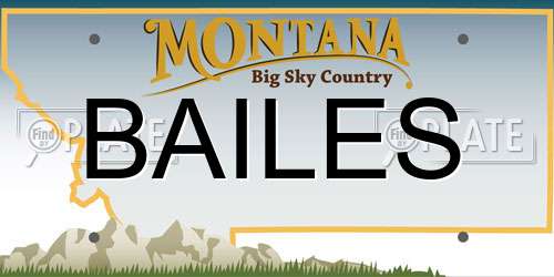 BAILES Montana License Plate