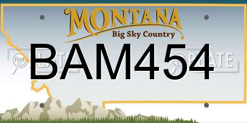 BAM454 Montana License Plate