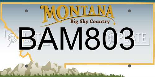 BAM803 Montana License Plate