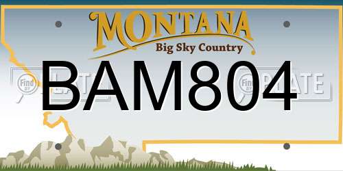 BAM804 Montana License Plate