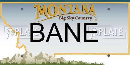 BANE Montana License Plate