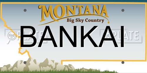 BANKAI Montana License Plate