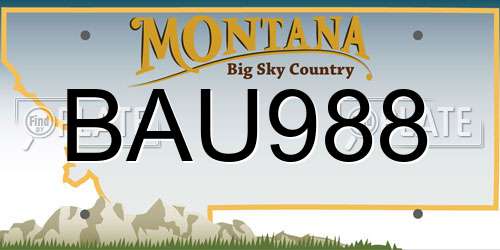 BAU988 Montana License Plate