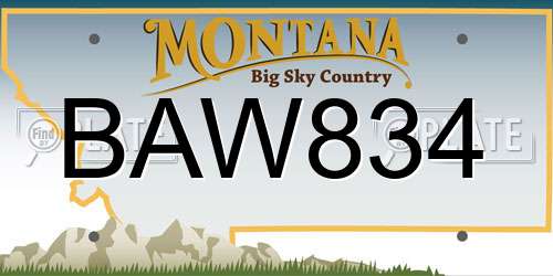 BAW834 Montana License Plate