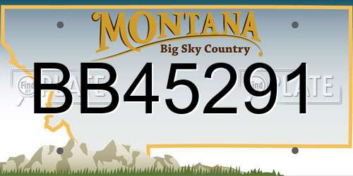 BB45291 Montana License Plate
