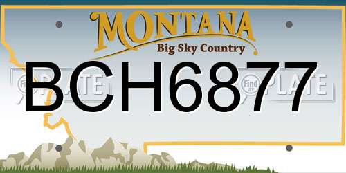 BCH6877 Montana License Plate