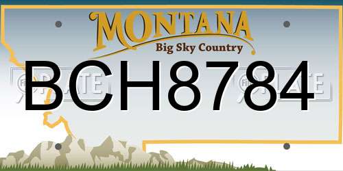 BCH8784 Montana License Plate