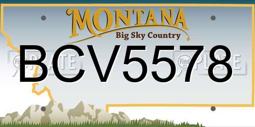 BCV5578 Montana License Plate