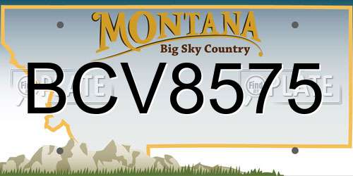 BCV8575 Montana License Plate