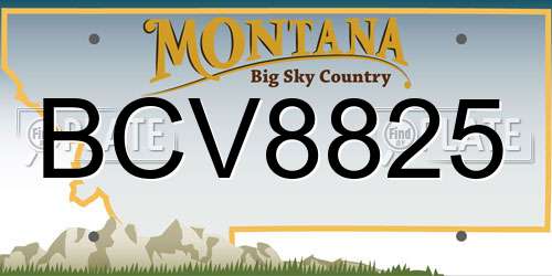 BCV8825 Montana License Plate