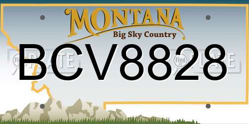 BCV8828 Montana License Plate