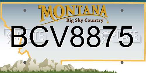 BCV8875 Montana License Plate
