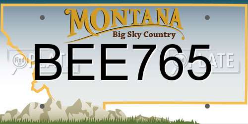 BEE765 Montana License Plate